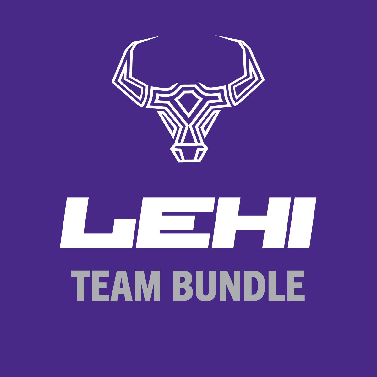 Lehi Team Bundle