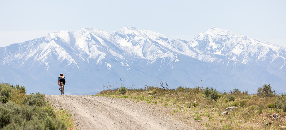 person biking during wild horse race